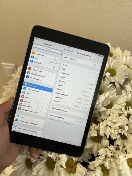 Apple iPad mini з пам'яттю 16GB