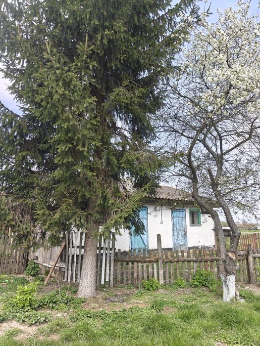 Продаж будинку в передмісті.