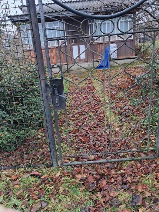 Будинок, нерухомість