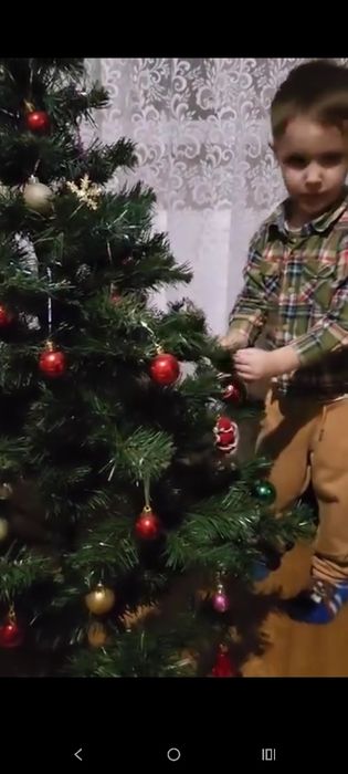 Ялинка в гарному стані