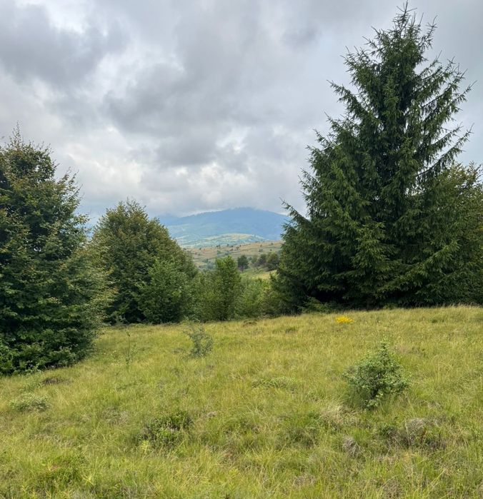 Закарпатська область, Хустський район, Міжгір'я, продаж ділянки 1,2 га