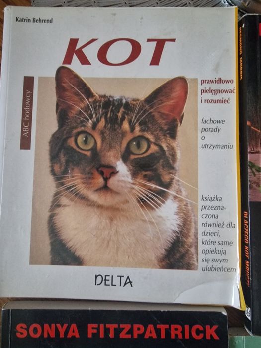 Książki o kotach