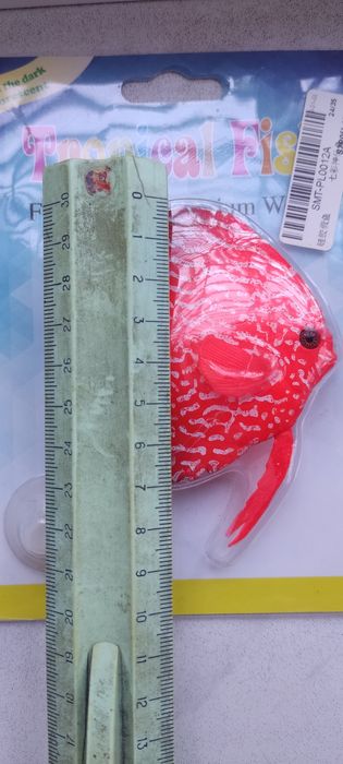 Рыбка, дискус, декор для аквариума