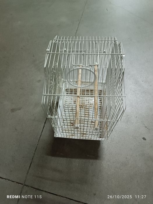 Gaiola de arame como Nova