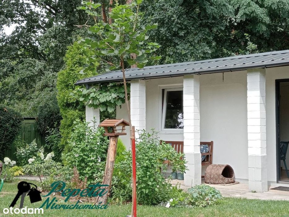 Działka ROD przy lesie! Poznań, Osiedle Warszawskie!