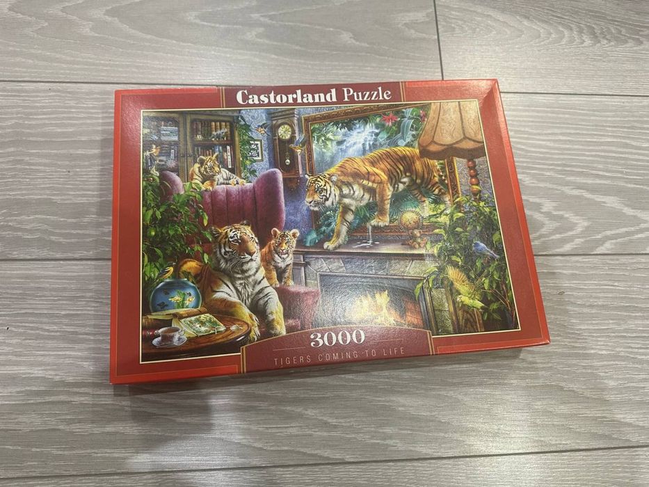 Пазли Castorland на 3000 елементів