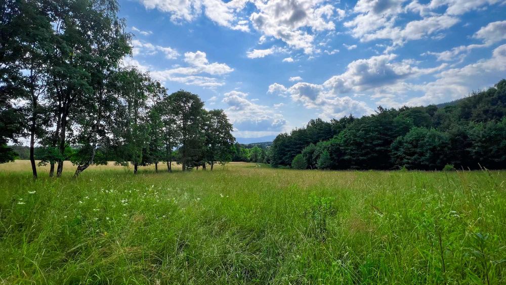 Działki budowlane rekreacyjne Nowa Bystrzyca Spalona 0,56ha