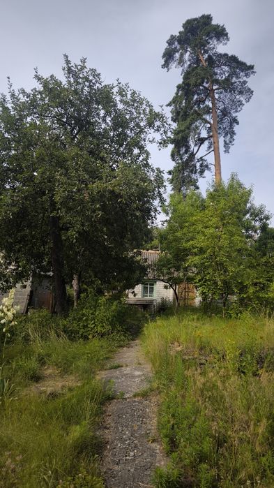 Продаж маленького будиночка та земельної ділянки в Соснівці