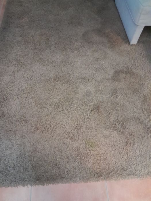2  Carpetes grandes  lindíssimas  de veludo  C/ NOVAS