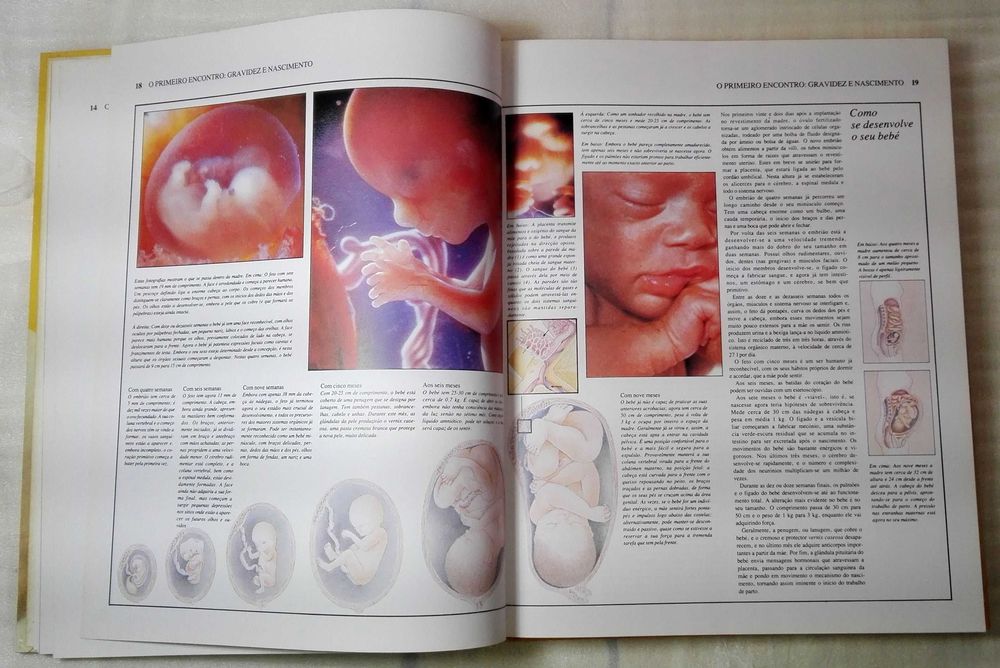 Livro Você e o seu filho