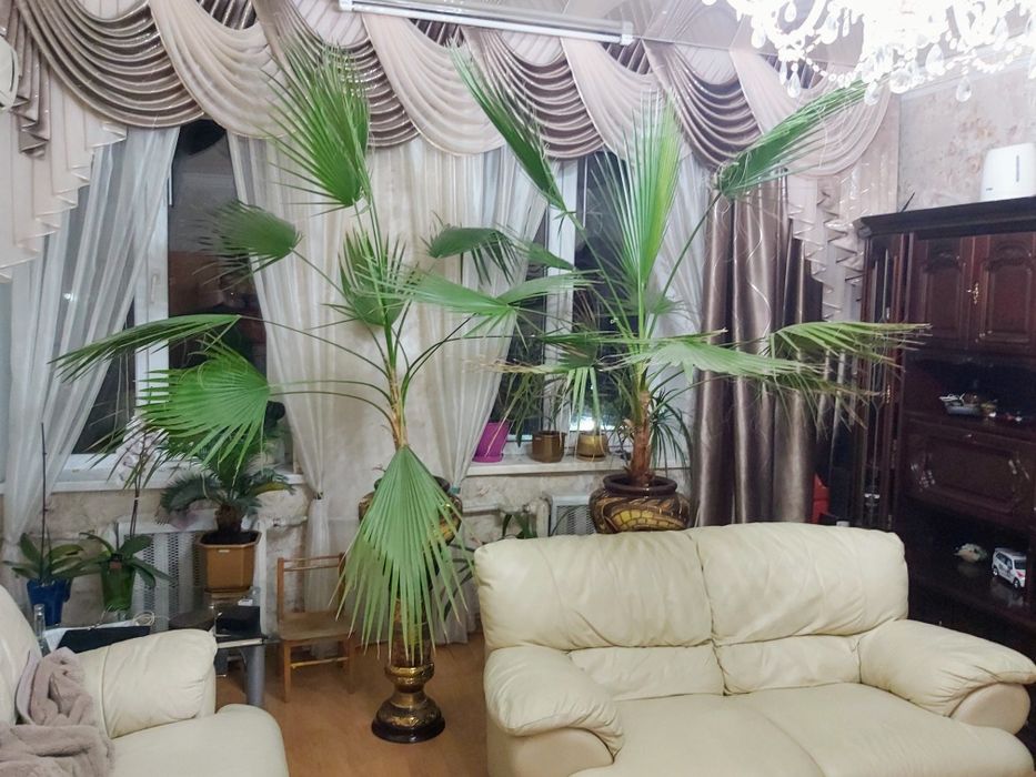 Два кожанных дивана на 3  и 2 персоны