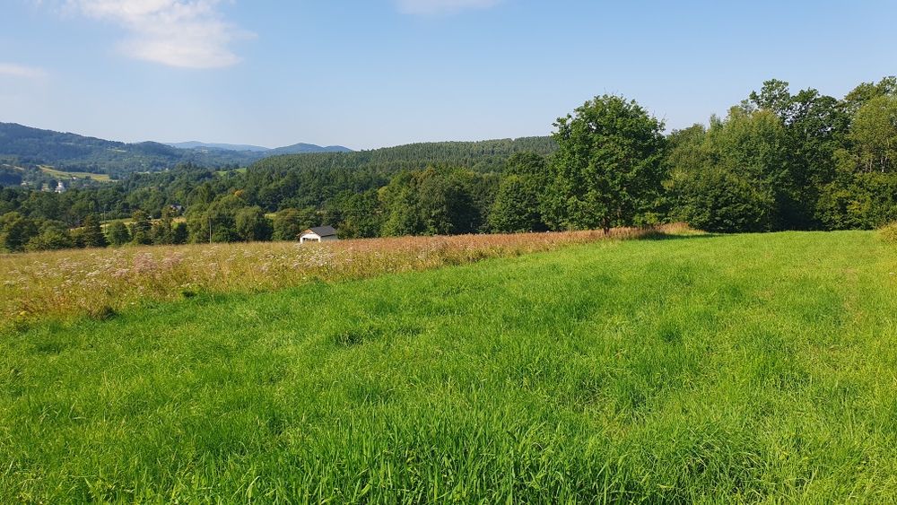 Widokowa działka budowlana w Koconiu z panoramą na Beskidy