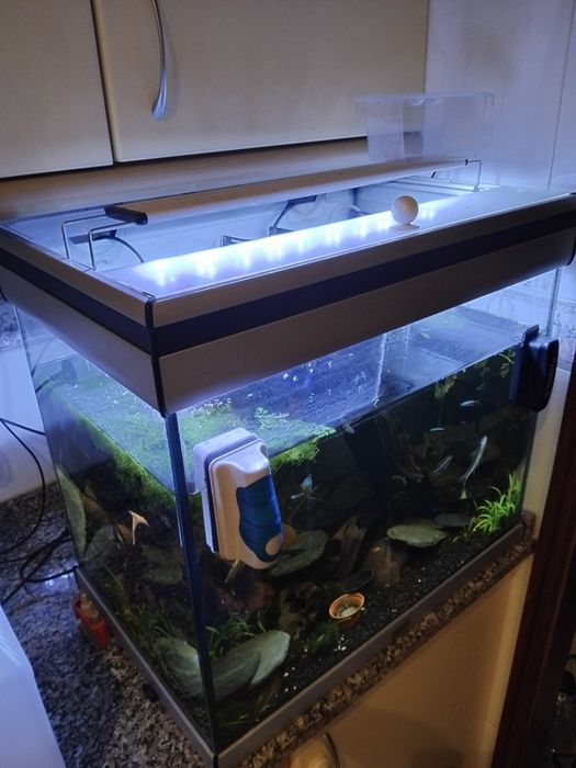 Aquario aquatlantis