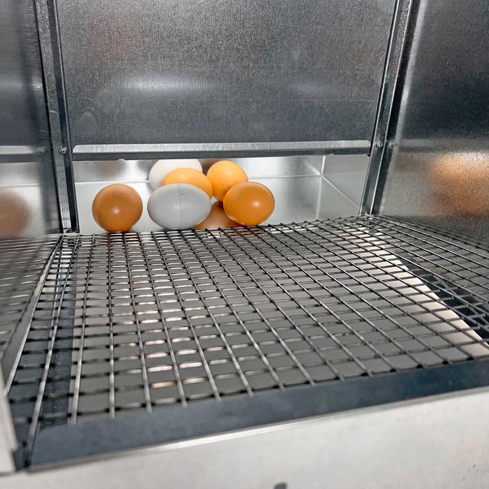 Jaula Galinheiro Exterior galinhas 2 ninhos com escada