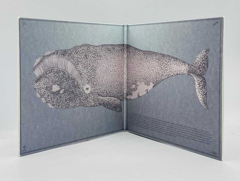 Junip – Junip (2013, Germany / U.S.A.)