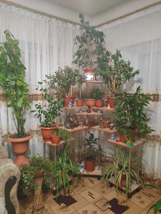 полка для цветов