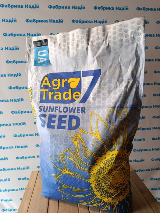 Ласса 2025.Насіння соняшника під євролайтінг