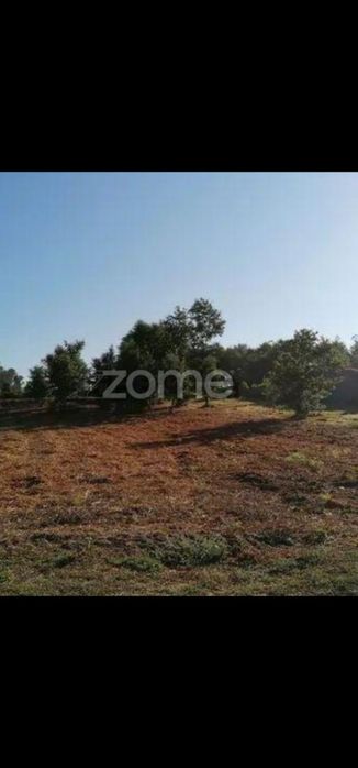 Quinta com 35000m2