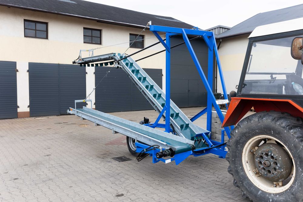 Taśmociąg, przenośnik, sortownik do kapusty i innych warzyw