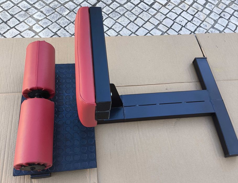 Sissy Squat Fitness e Musculação