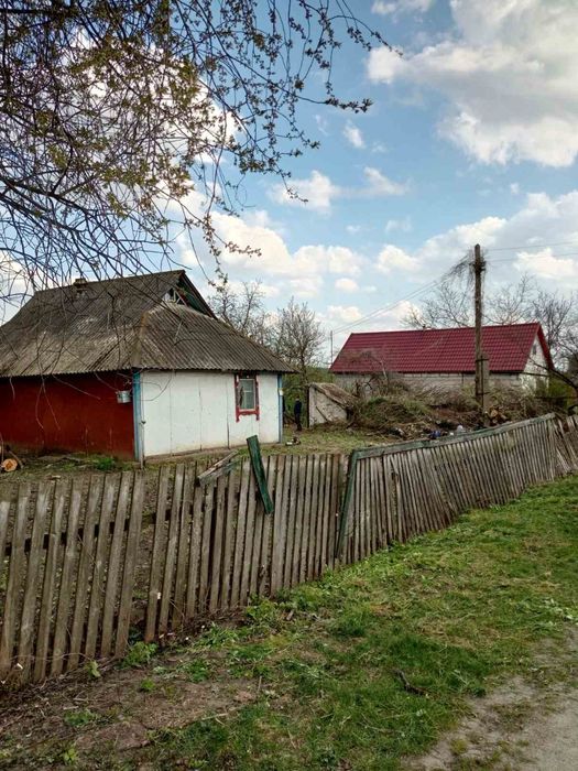 Томашівка Фастівського району Київської області