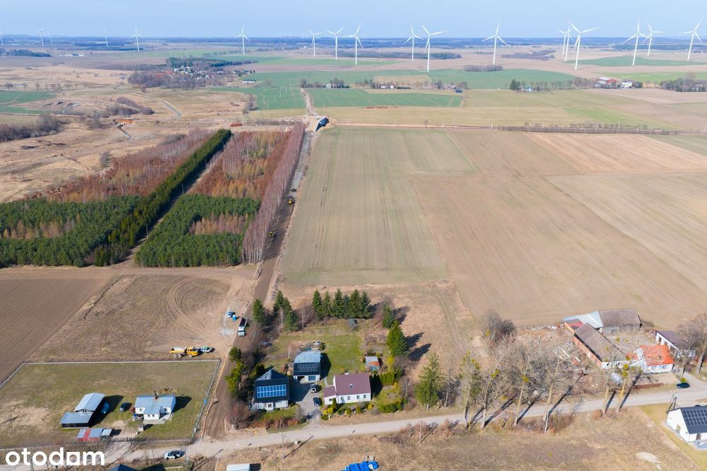 Działka, Potęgowo