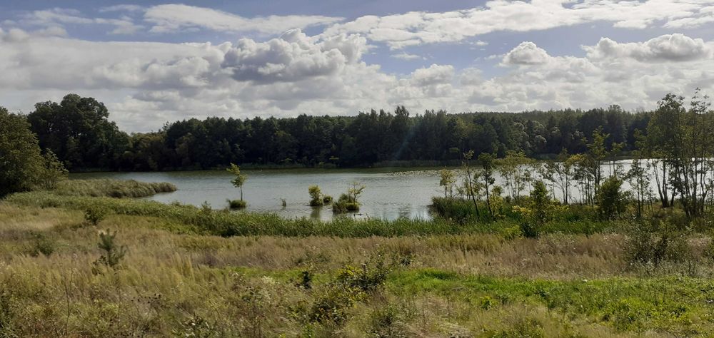 Działka rekreacyjna nad jeziorem, 706 m², prąd, woda, Lubieniec okolice Chodcza - Więcej