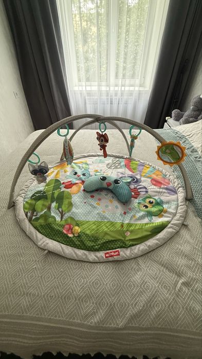 Розвивальний килимок WinFun
