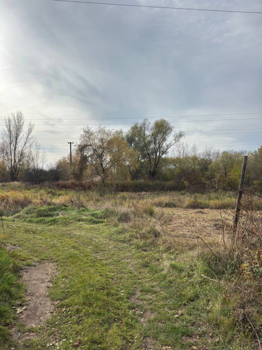 Дачна ділянка біля Чопа