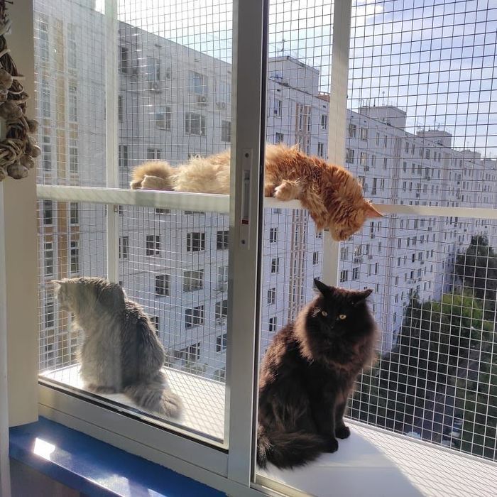 Балкончик для кошек на 2 створки