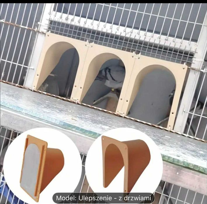 drzwiczki gołębnika