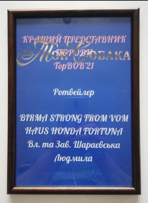 Готовий діамант в вашу родину.