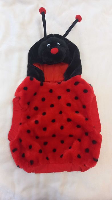 Strój karnawałowy - biedronka