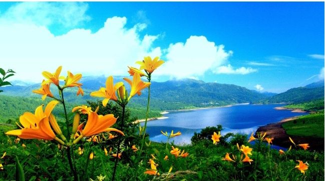 Стан нового Смартфон Xiaomi Redmi 9С