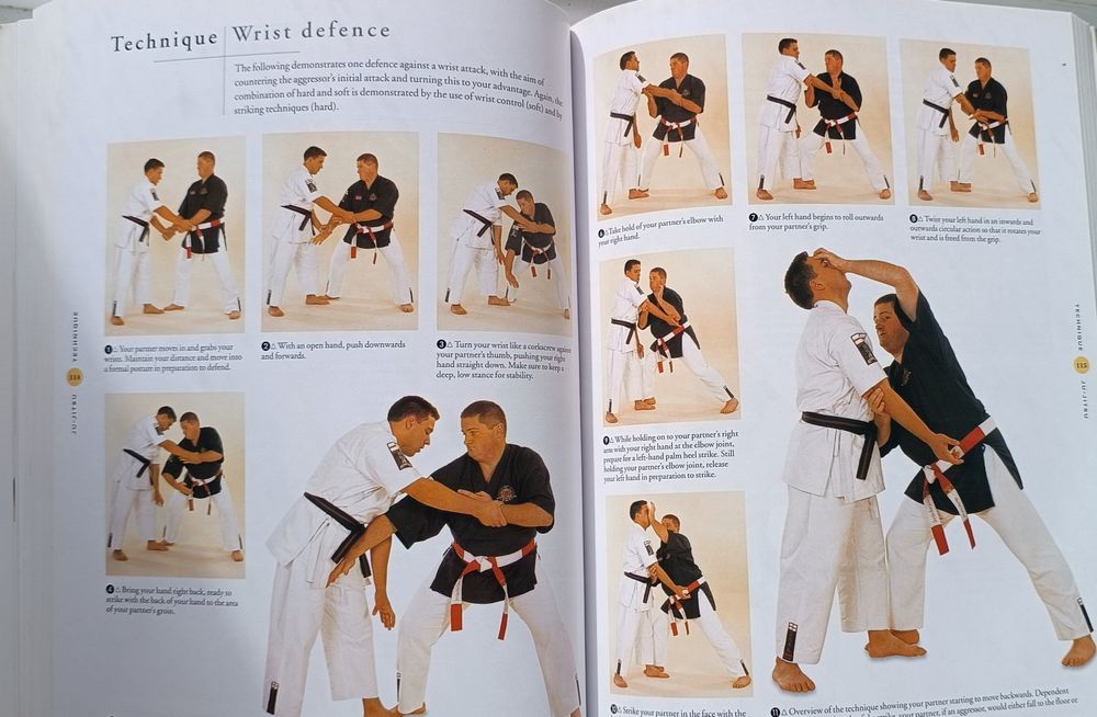 Manual prático de artes marciais "The Ultimate Book of Martial Arts"