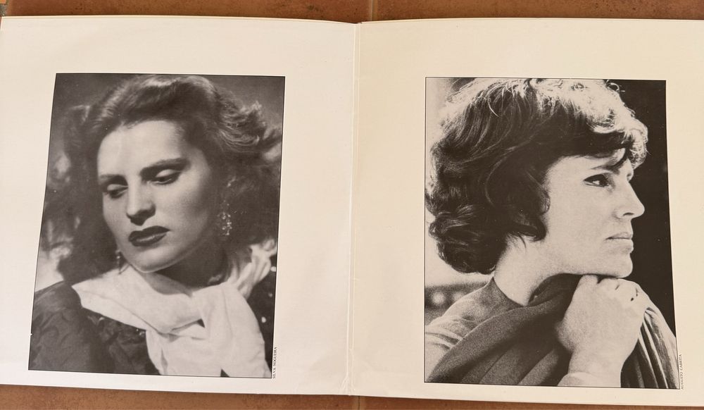 Discos vinil duplo - o melhor de Amalia