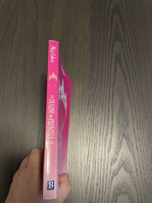 O Diario da Princesa