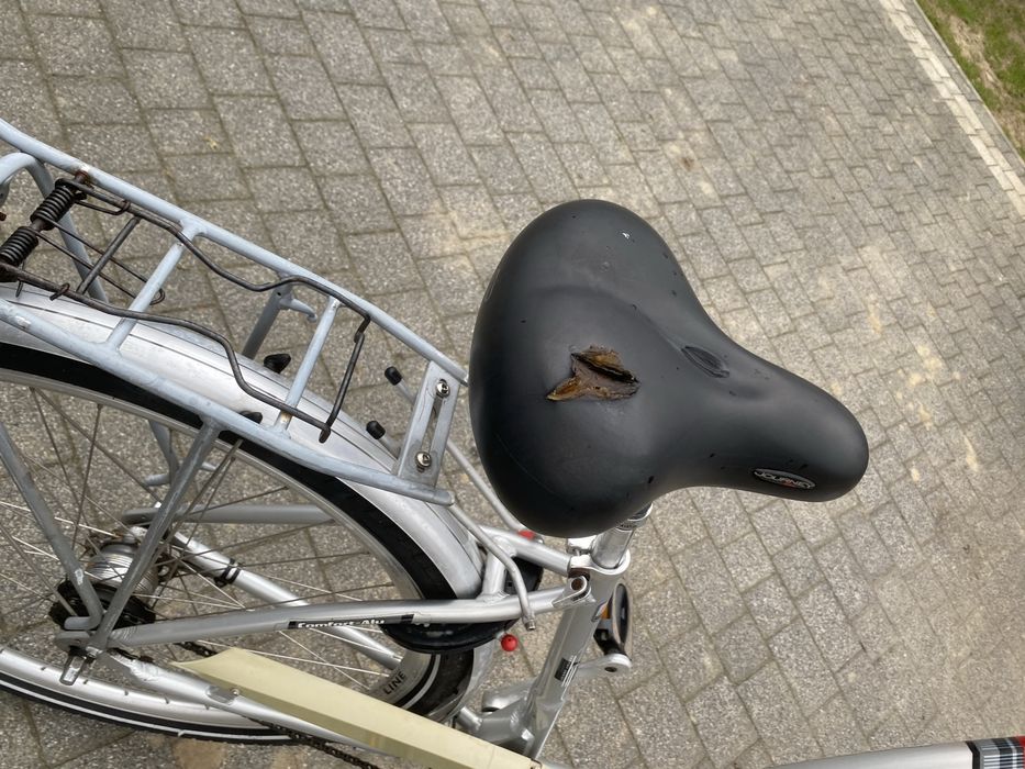 Rower Pegasus 28 cali