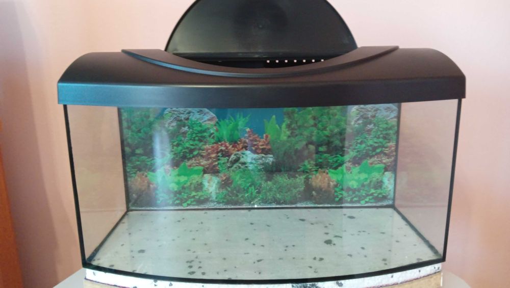 Sprzedam Akwarium,, DIVERSA60x30x30cm i akcesoria komplet