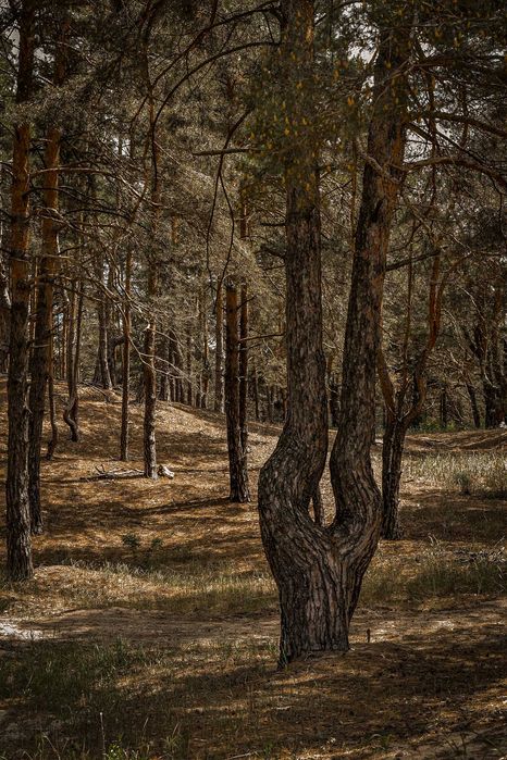 Оренда,риболовля,база на воді будинок,човен,пляж,альтанка,спуск човнів