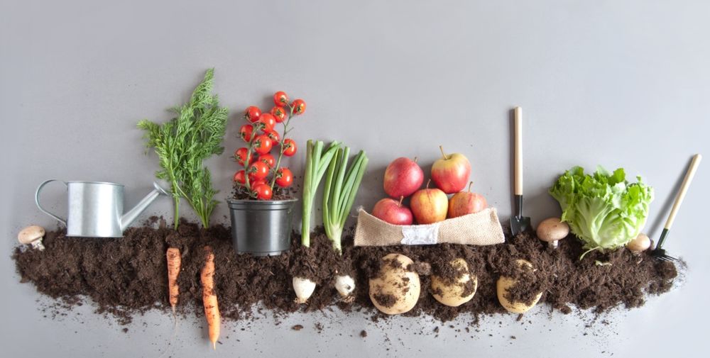 Ziemia kompostowa 60l ogrodowa  do warzyw kwiatów