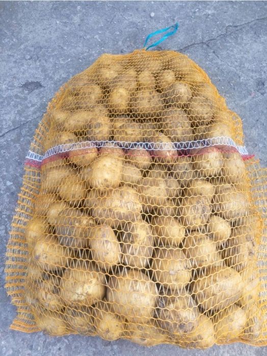 Ziemniaki 1zl kg aktualne