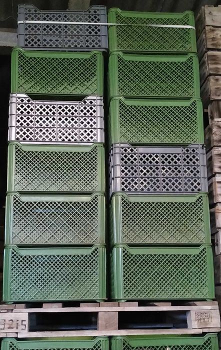 Plastic Boxes64585899372547122