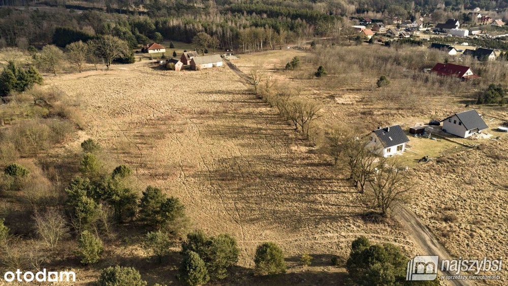 Krępsko - działka 3000 m2 otoczona naturą