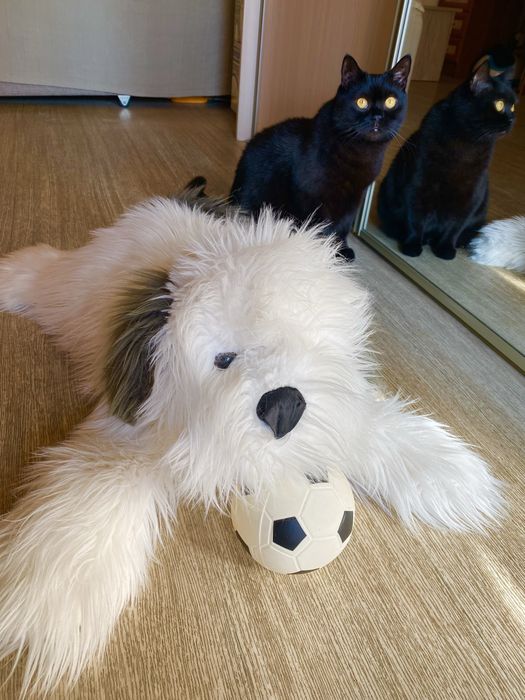 Мягкая игрушка собака, 70 см