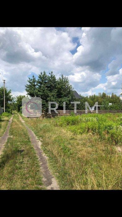 Продаж земельної ділянки в с. Озерце — 12 соток - View 5