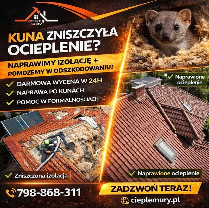 Naprawa dachu po KUNIE, naprawa izolacji po KUNACH, WARSZAWA