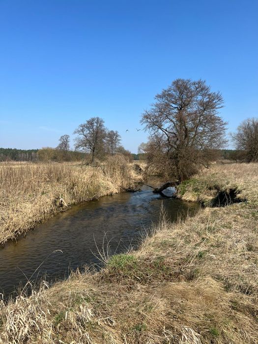 Działka nad rzeką obok las gm. Morawica