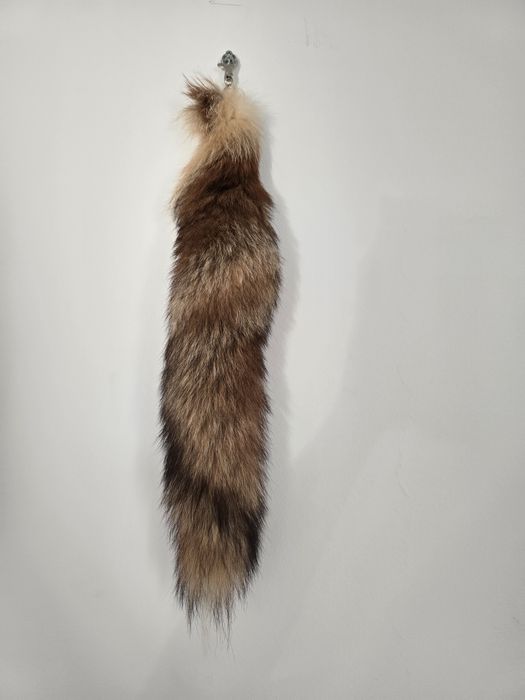 Ogony lisów duży i mały