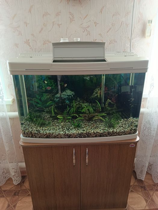 Акваріум панорамний 120